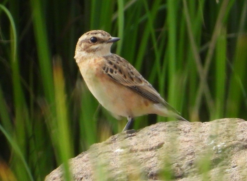 Photograph by Владимир Джерихов