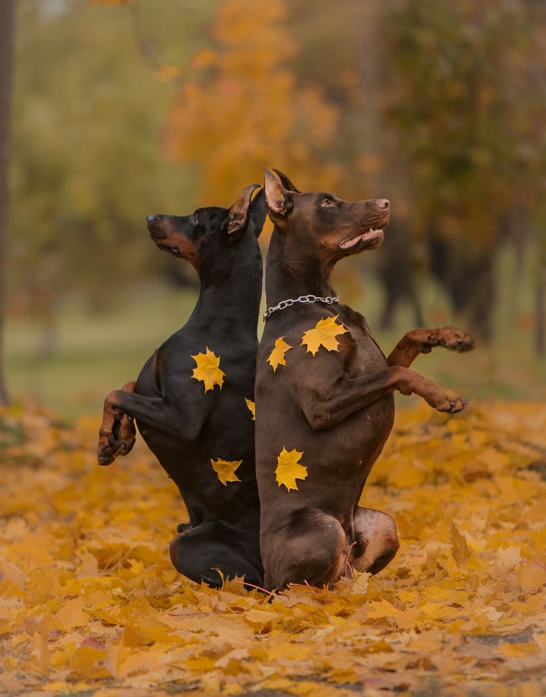 Photograph by Мария