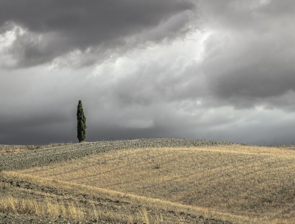 Photograph by Roberto Miniero