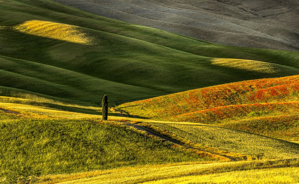 Photograph by Roberto Miniero