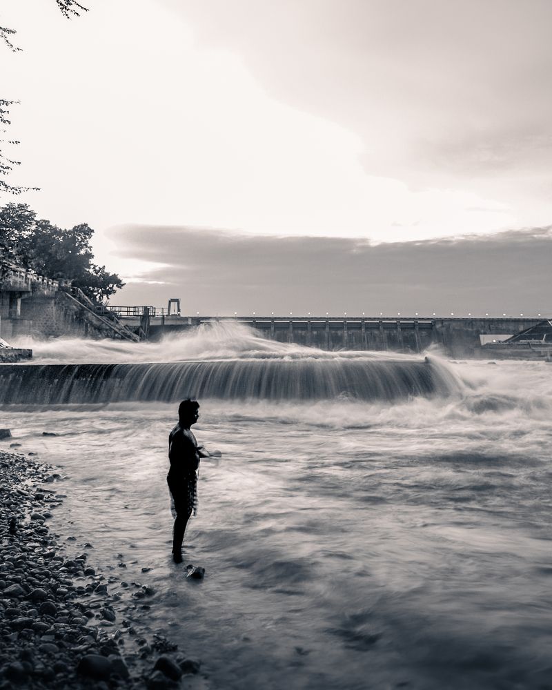 Finding Solace in Nature