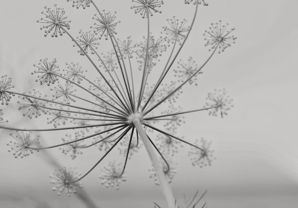 Photograph by Татьяна