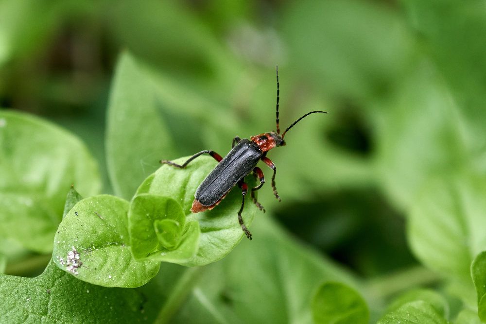 Photograph by Дмитрий Солодухин