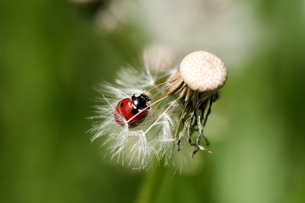 Photograph by Дмитрий Солодухин