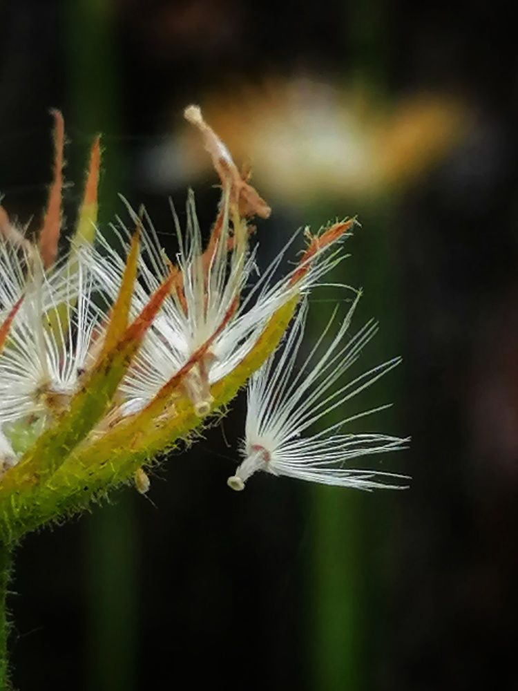 Photograph by Лилия Багдасарова