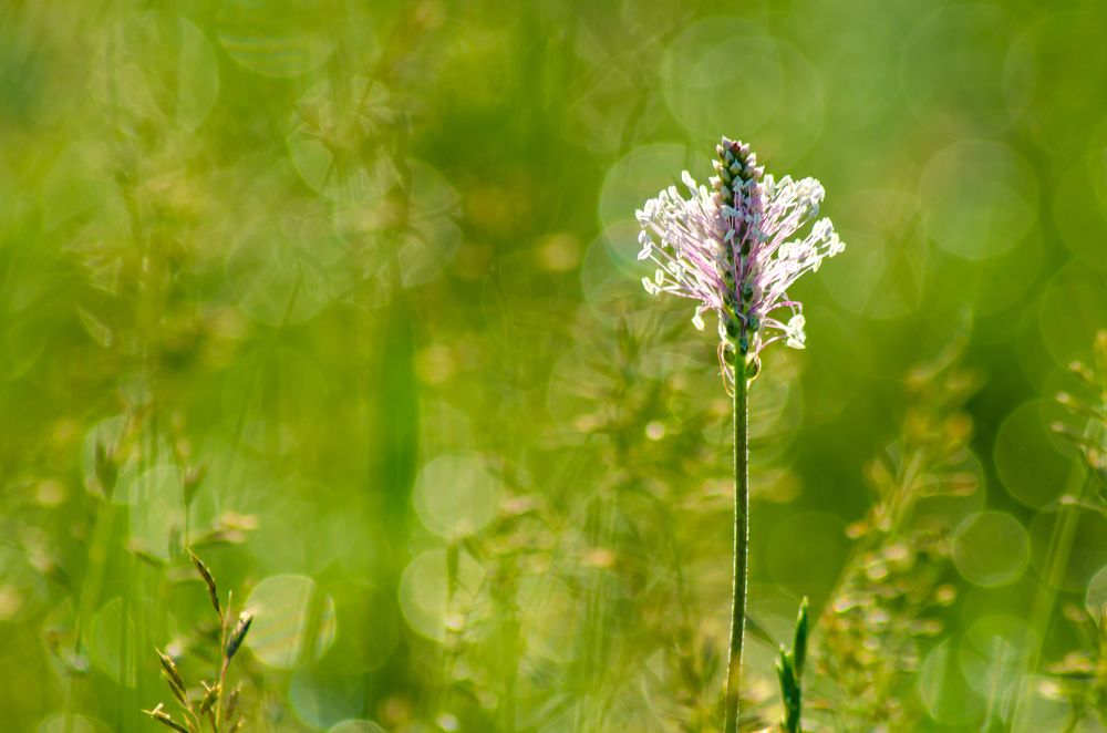 Photograph by Савенко Кирилл