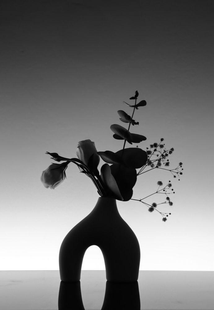 Фотография автора Olga Lavrenchuk