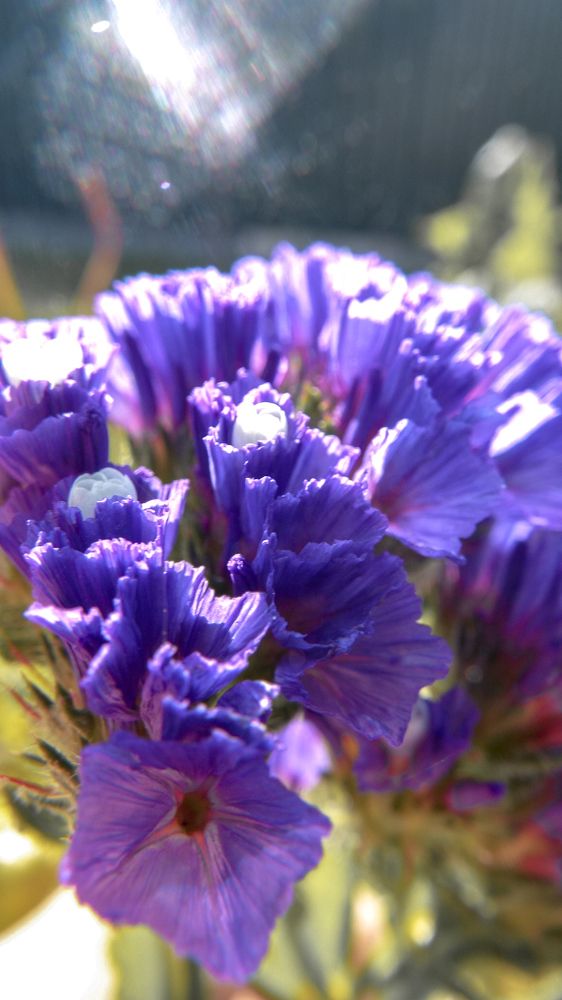 Photograph by Анастасия Селява