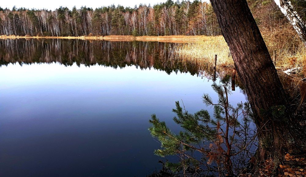 Photograph by натапов леонид