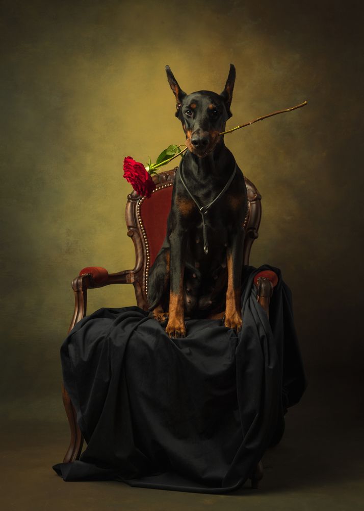 Photograph by Ольга Савельева