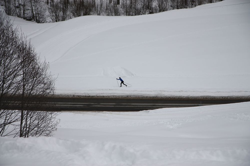 Photograph by Наталья Задерновская