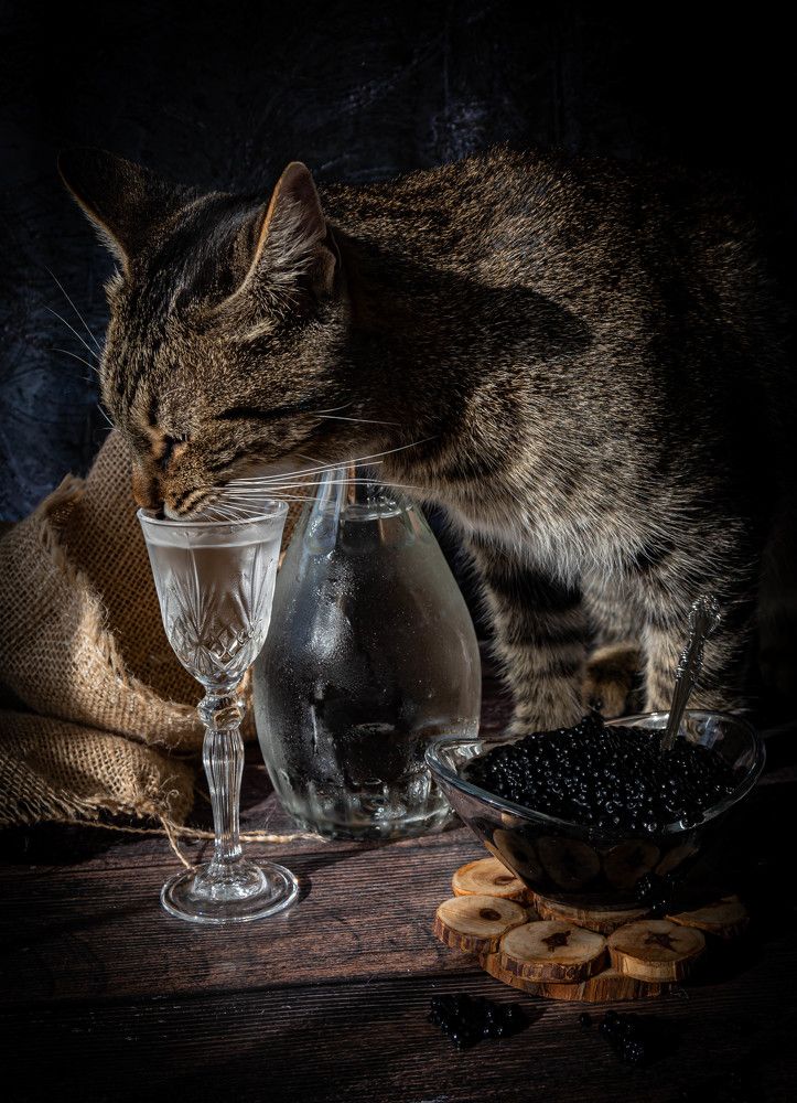 Фотография автора Оксана Белозерская