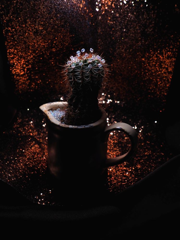 Photograph by Svetlana Petrenko