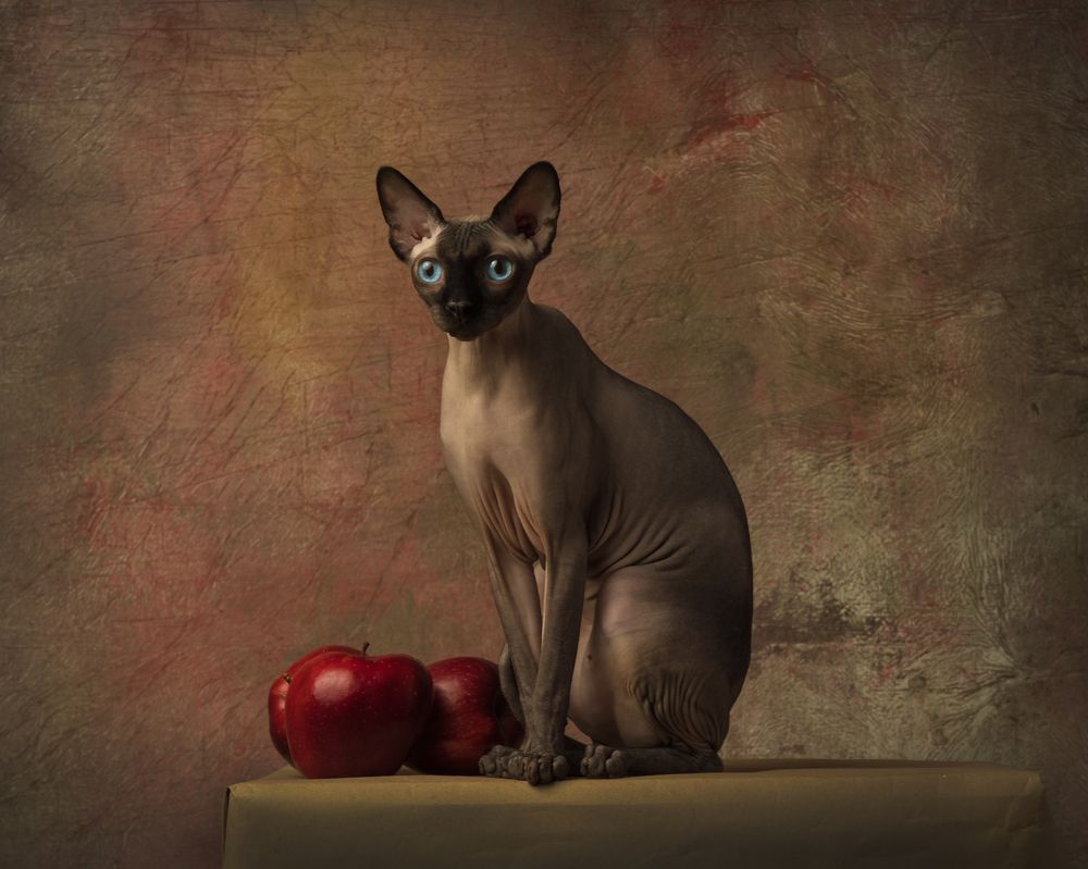 Photograph by Ольга Савельева