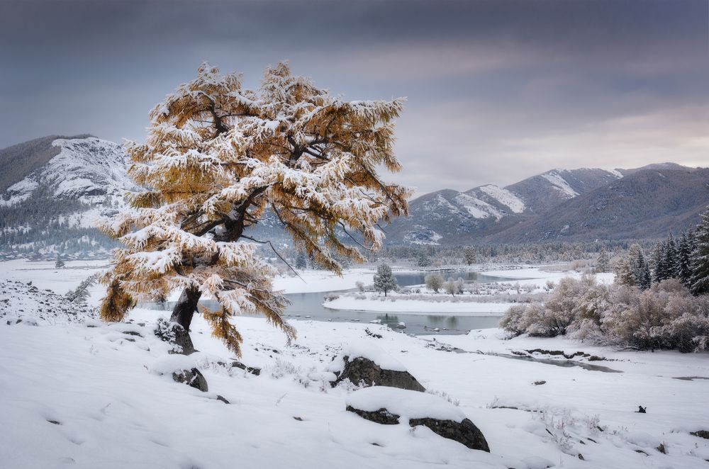 Photograph by Рубан Алена