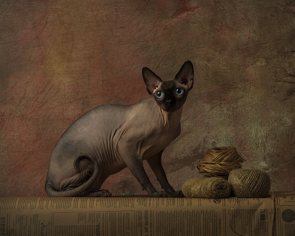 Photograph by Ольга Савельева