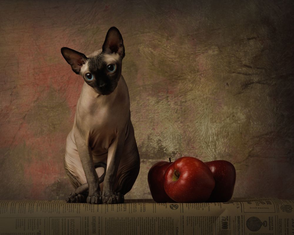 Photograph by Ольга Савельева