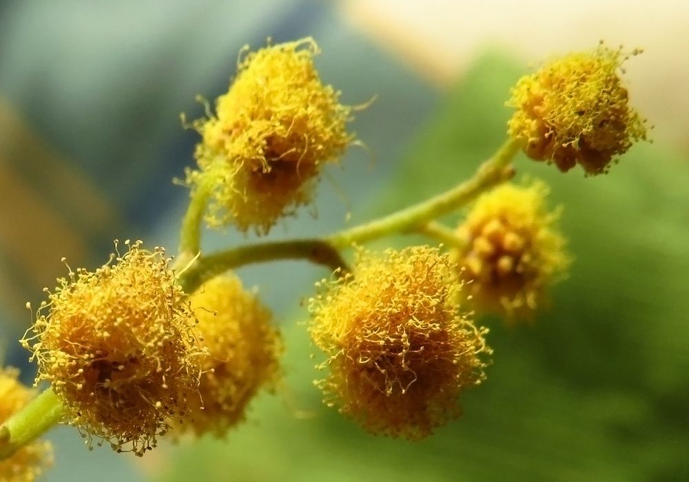 Photograph by Наташа Фишер