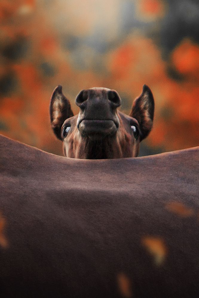 Photograph by Дарья Ералева