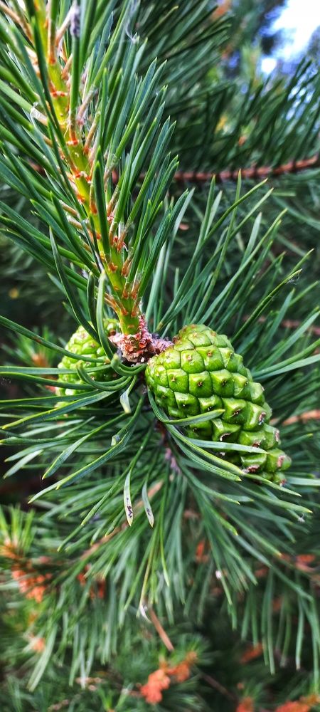 Photograph by Владимир Баженов