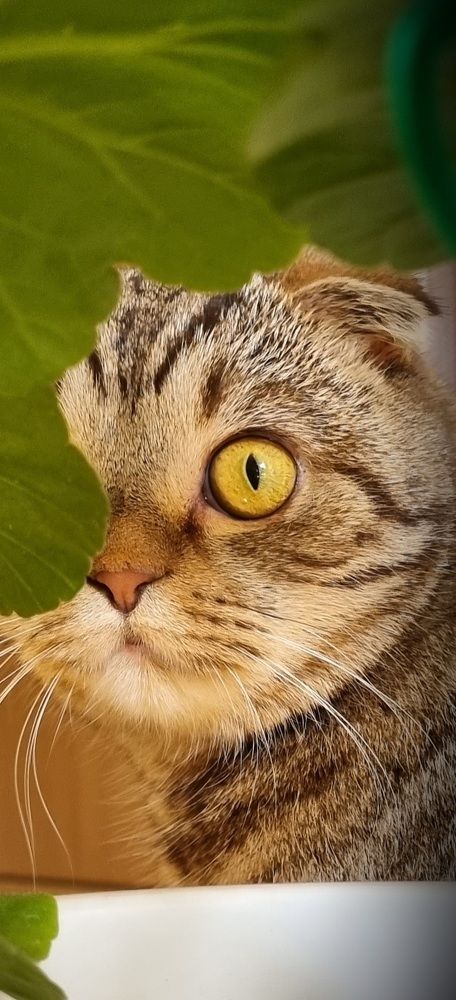 Photograph by Татьяна Устюжанина