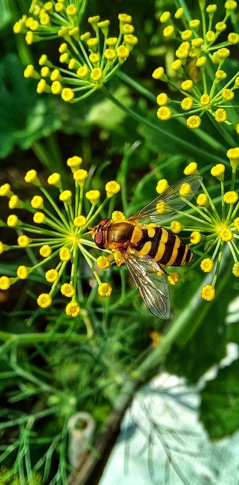 Photograph by Владимир Баженов