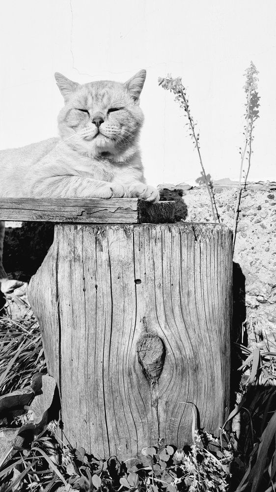 Photograph by Татьяна Устюжанина