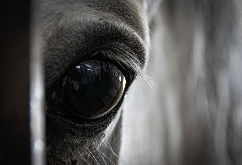 Фотография автора Оксана Белозерская