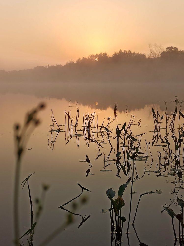 Photograph by Елена Черняк