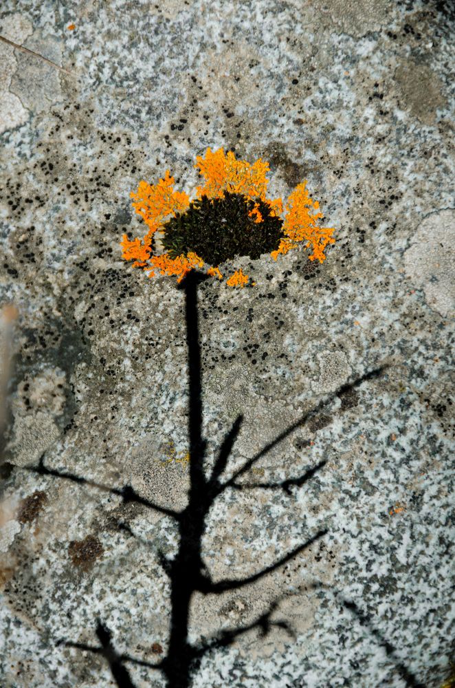 Photograph by Савенко Кирилл