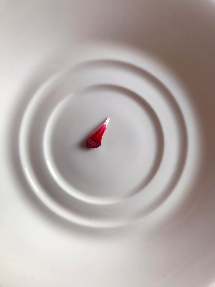 Photograph by Nunu Gambashidze