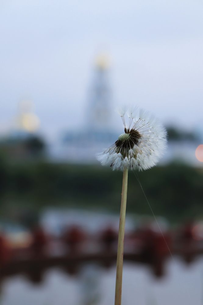 Photograph by Nadin Gaaze