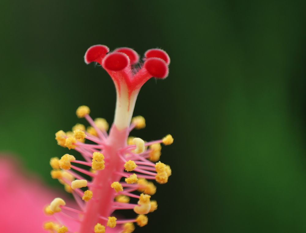 Photograph by safoura asghari