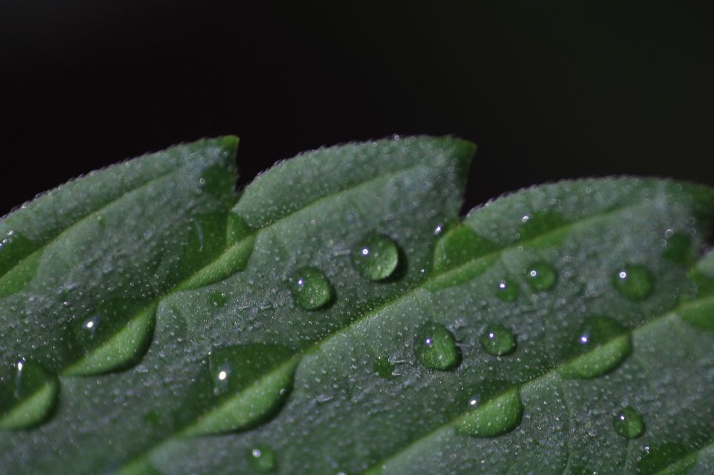 Photograph by safoura asghari