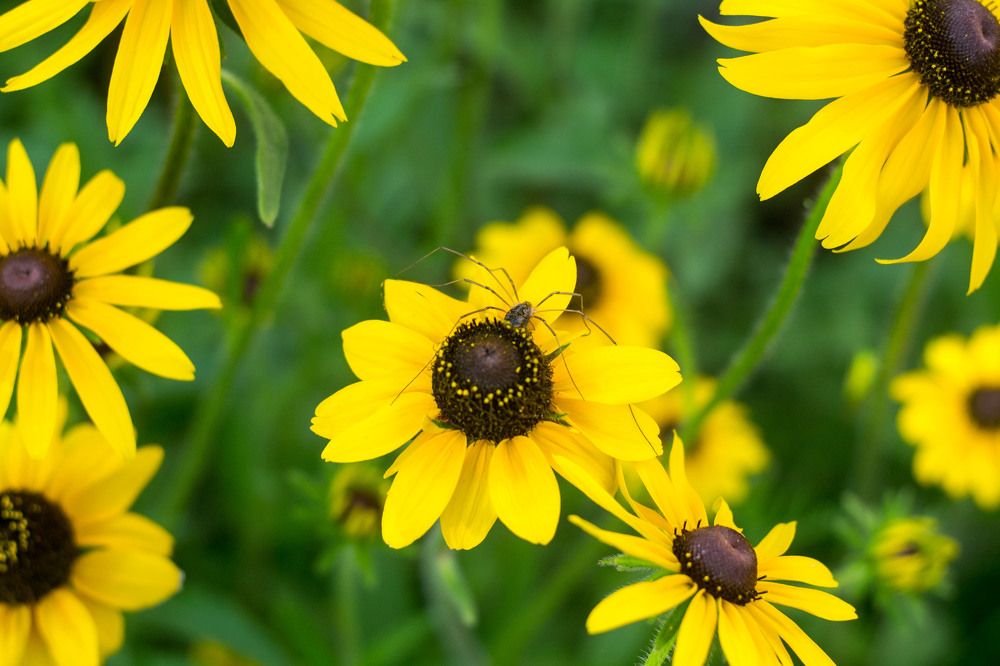 Photograph by Евгения Антропова