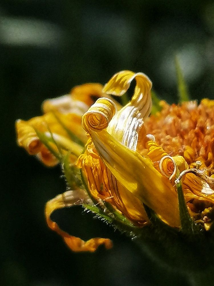 Photograph by Лилия Багдасарова