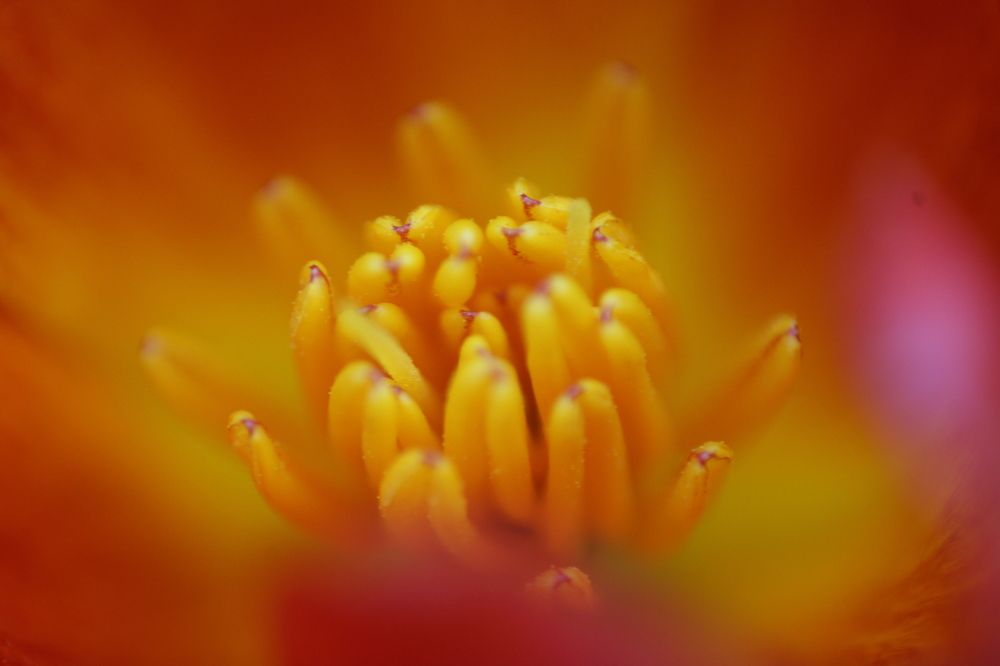 Photograph by safoura asghari