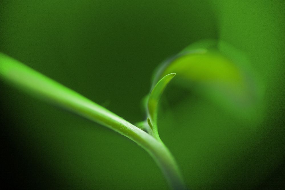 Photograph by Панфилов Илья