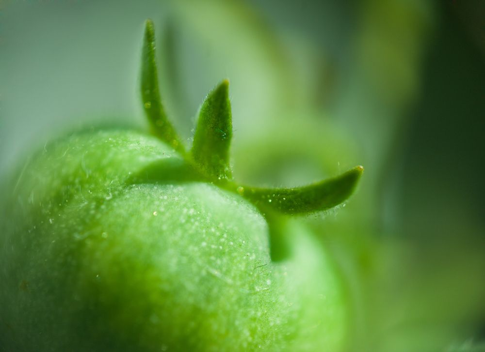 Photograph by Панфилов Илья