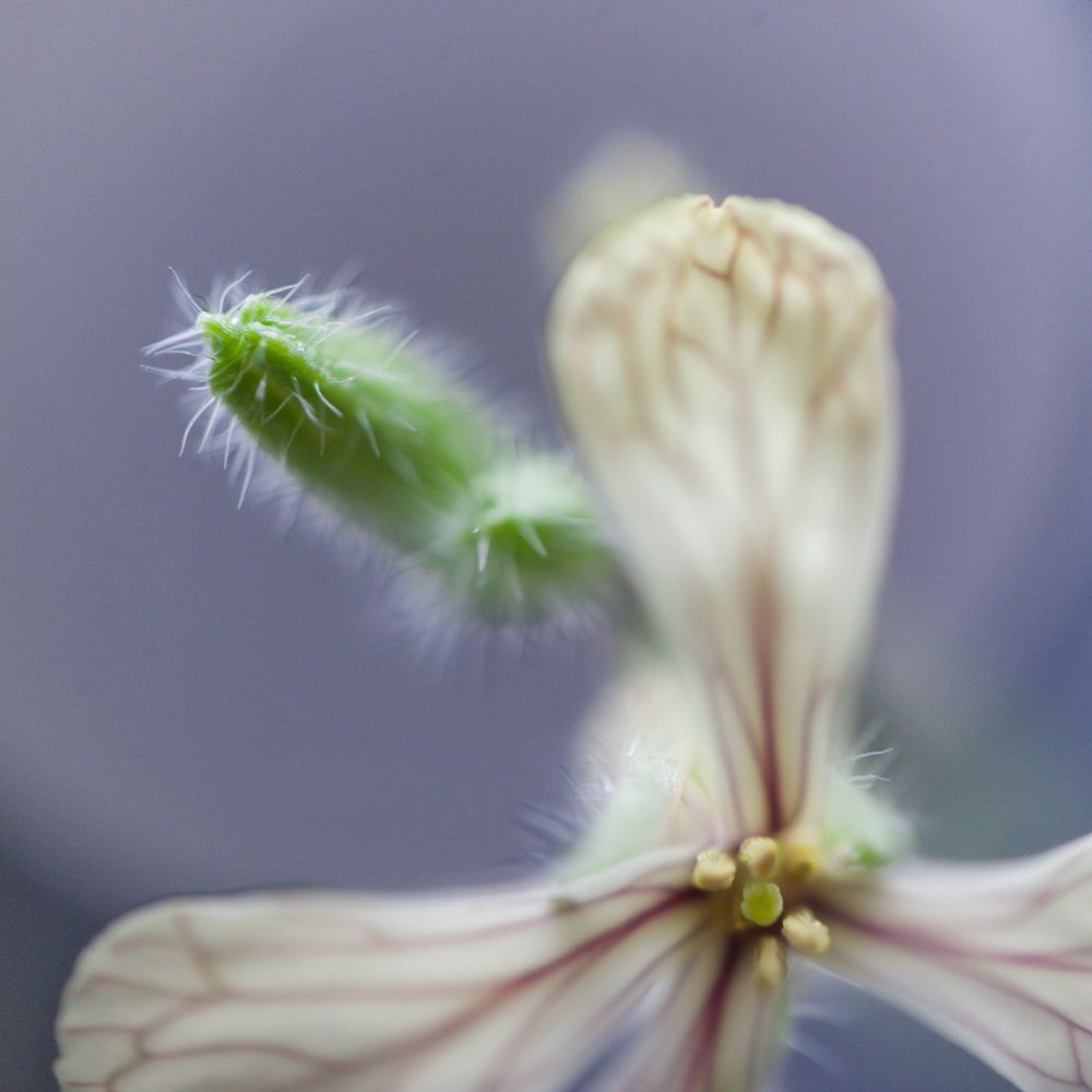 Photograph by Панфилов Илья