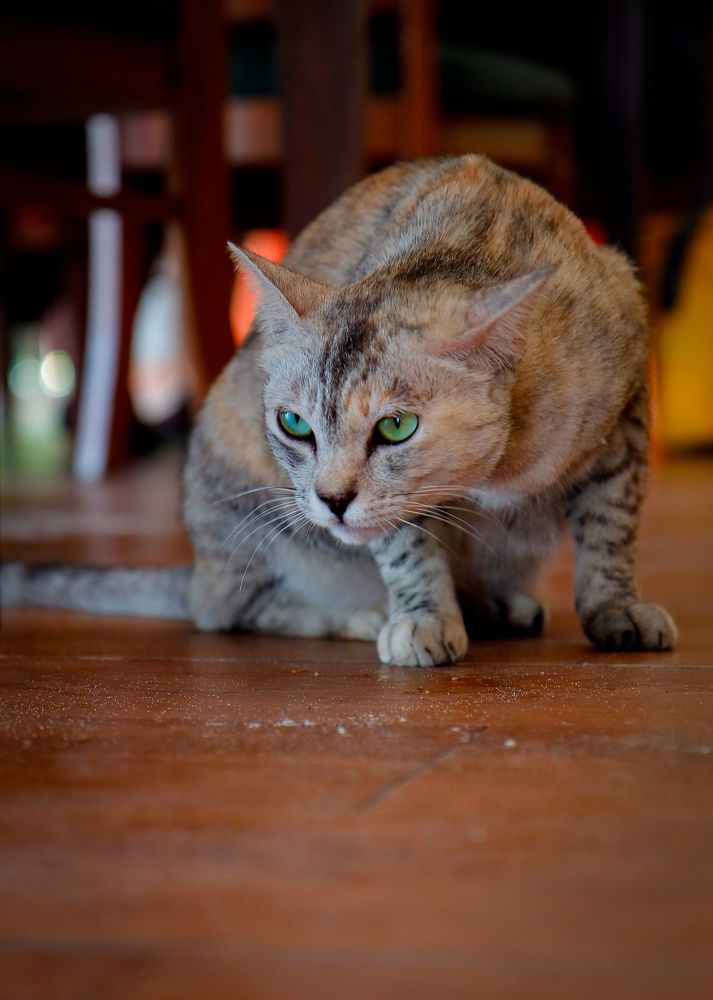 Photograph by Екатерина Слепнева