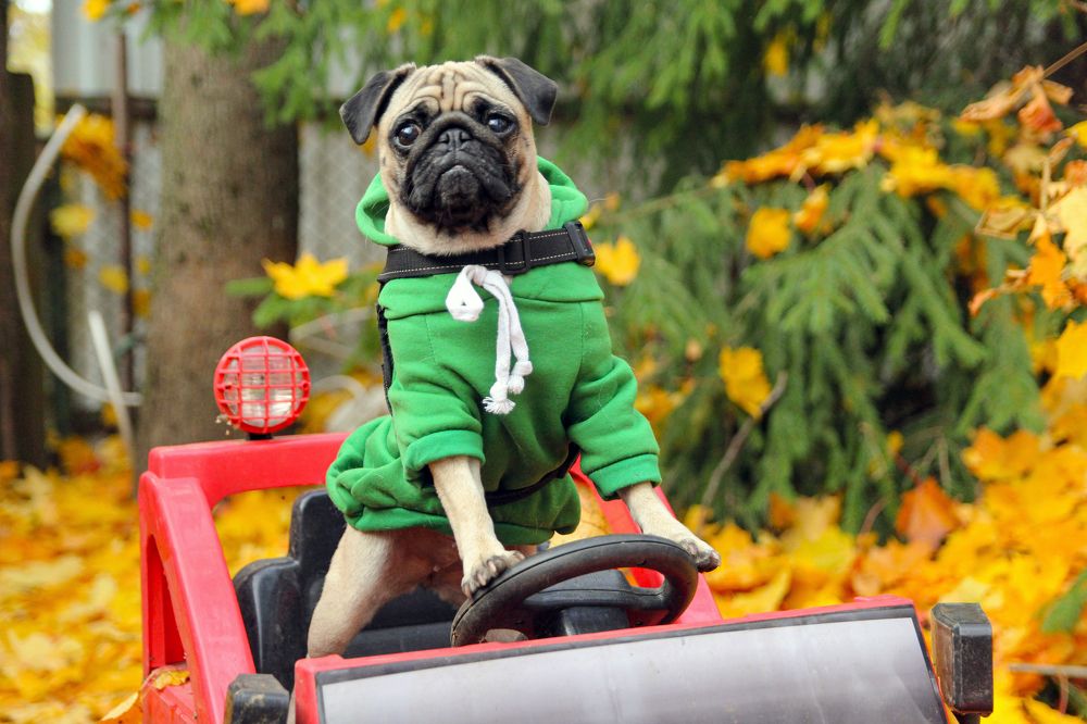 Photograph by Сергей Иванов