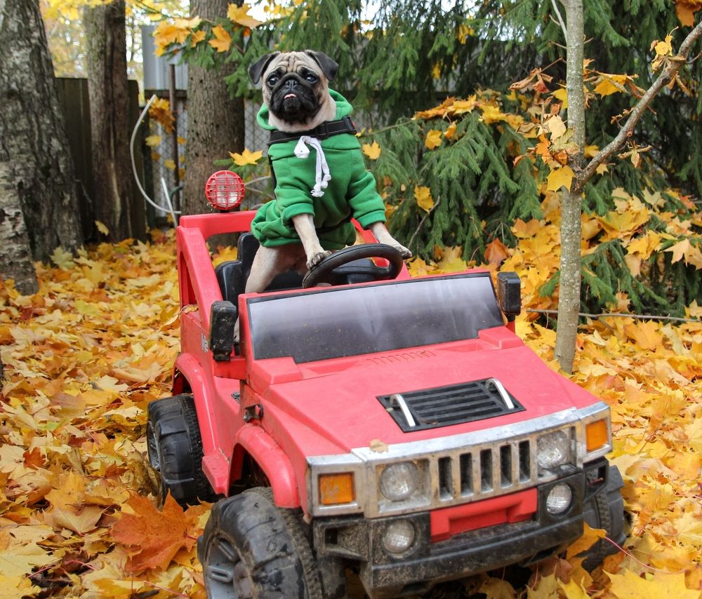 Photograph by Сергей Иванов