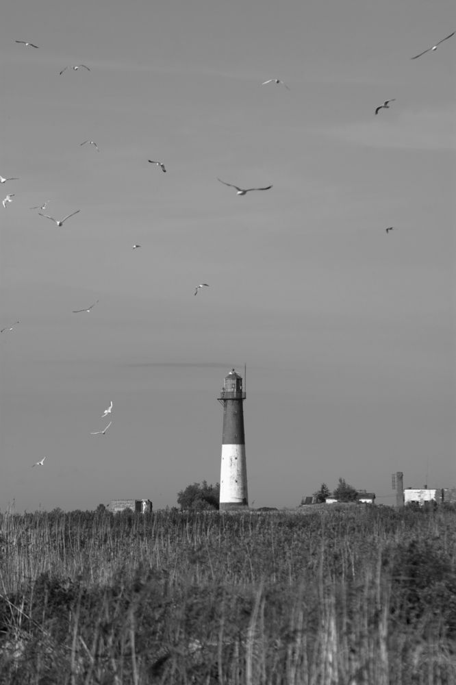 Photograph by Ричард Речицкий