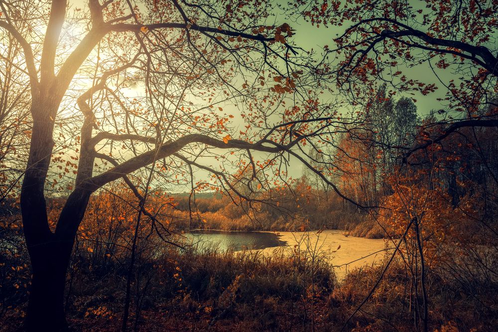 Photograph by Сергей Кочетов