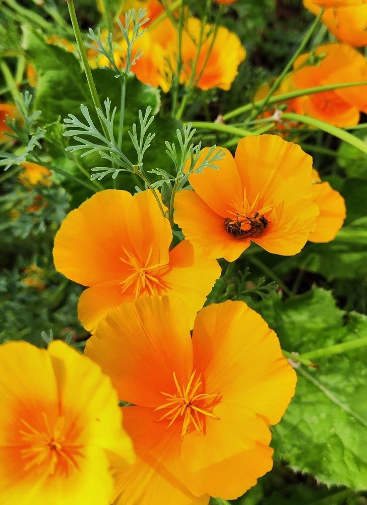 Photograph by Mila Vshivkova