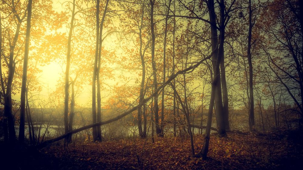 Photograph by Сергей Кочетов