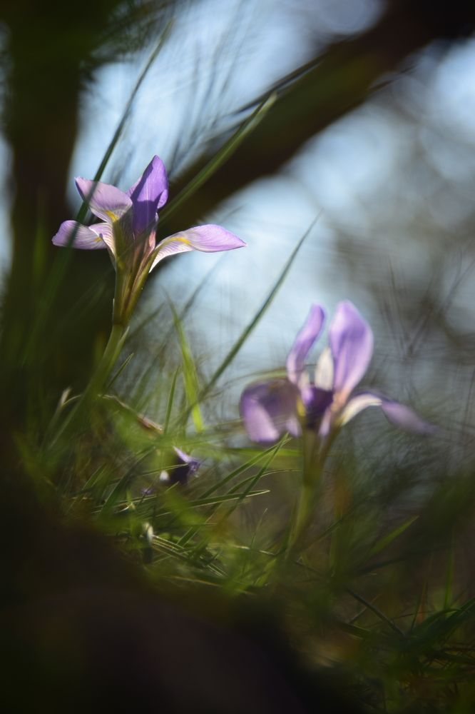 Photograph by Anita Taschek