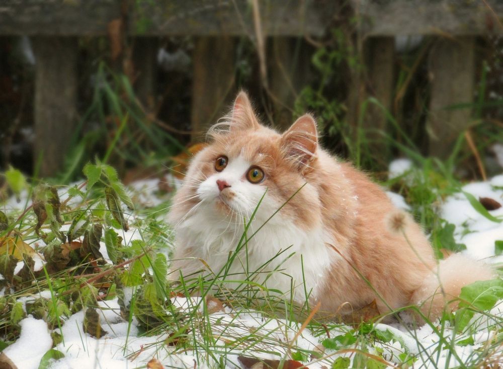 Photograph by Владимир Перминов