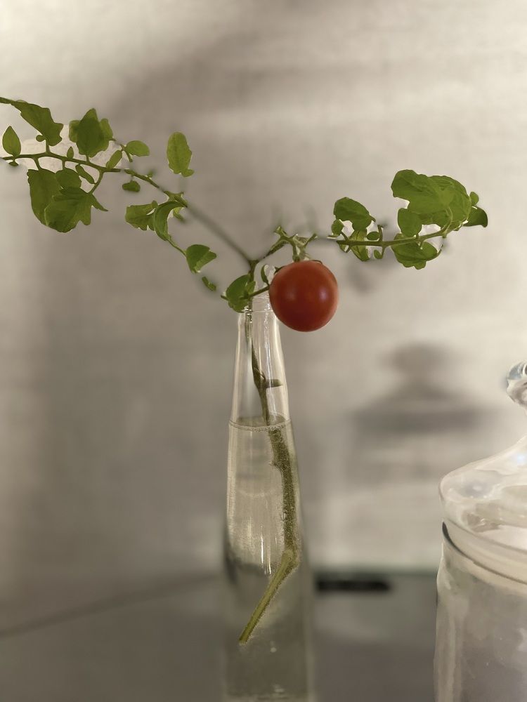 Photograph by ЛИЛИЯ БОБКО